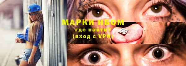 ГАЛЛЮЦИНОГЕННЫЕ ГРИБЫ Вяземский