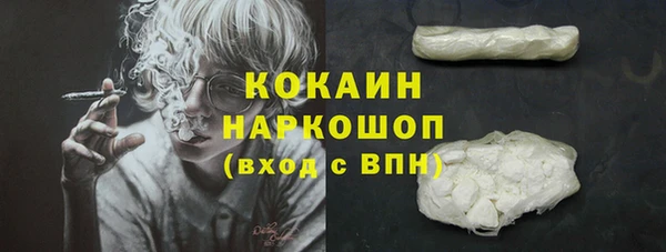 ГАЛЛЮЦИНОГЕННЫЕ ГРИБЫ Вяземский