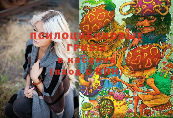 трава Вязьма