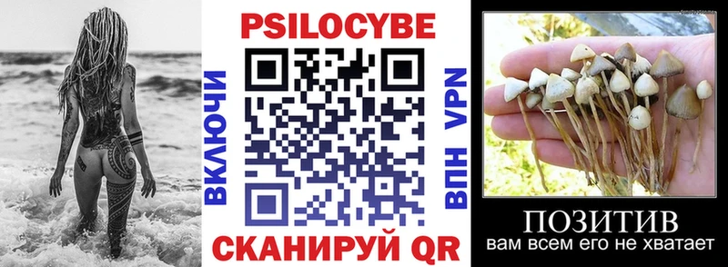 купить наркоту  Динская  мега как зайти  Псилоцибиновые грибы Magic Shrooms 